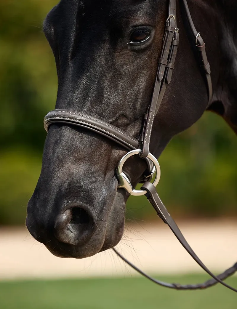 Dublin Padded Mono Crown Fancy Stitch Hunt Bridle - Brown-3