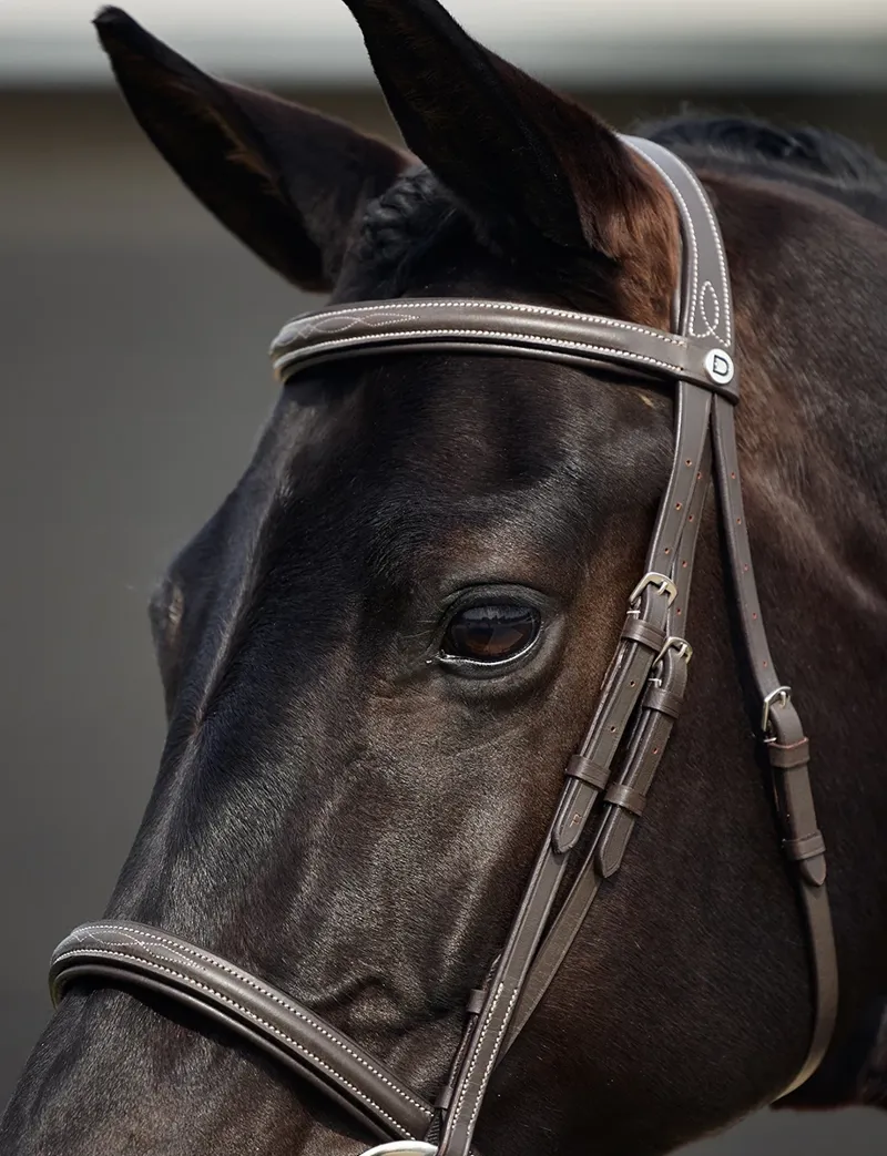 Dublin Padded Mono Crown Fancy Stitch Hunt Bridle - Brown-2