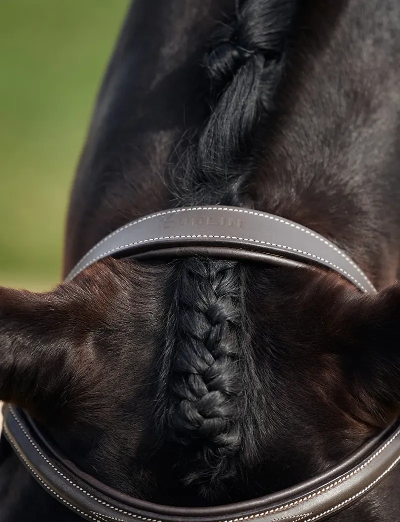 Dublin Padded Mono Crown Fancy Stitch Hunt Bridle - Brown-4
