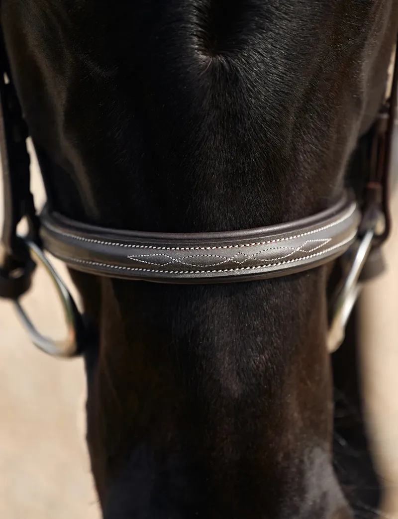Dublin Padded Mono Crown Fancy Stitch Hunt Bridle - Brown-5