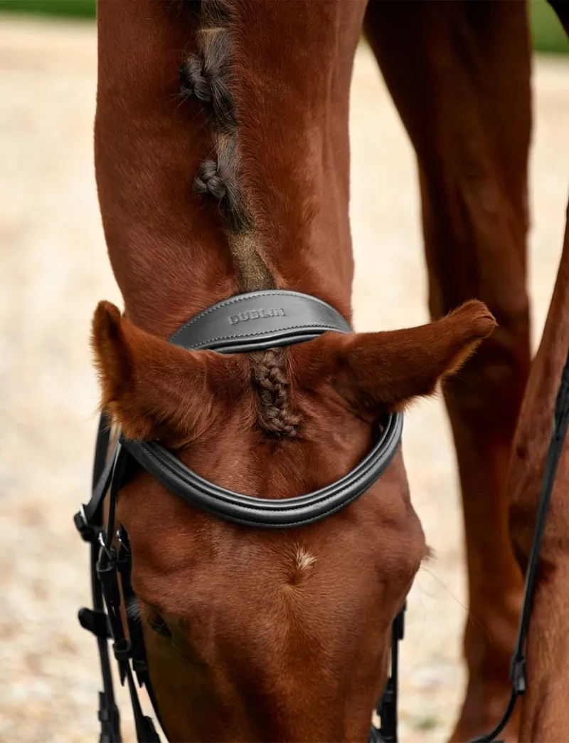 Dublin Padded Mono Crown Flash Bridle - Black-1
