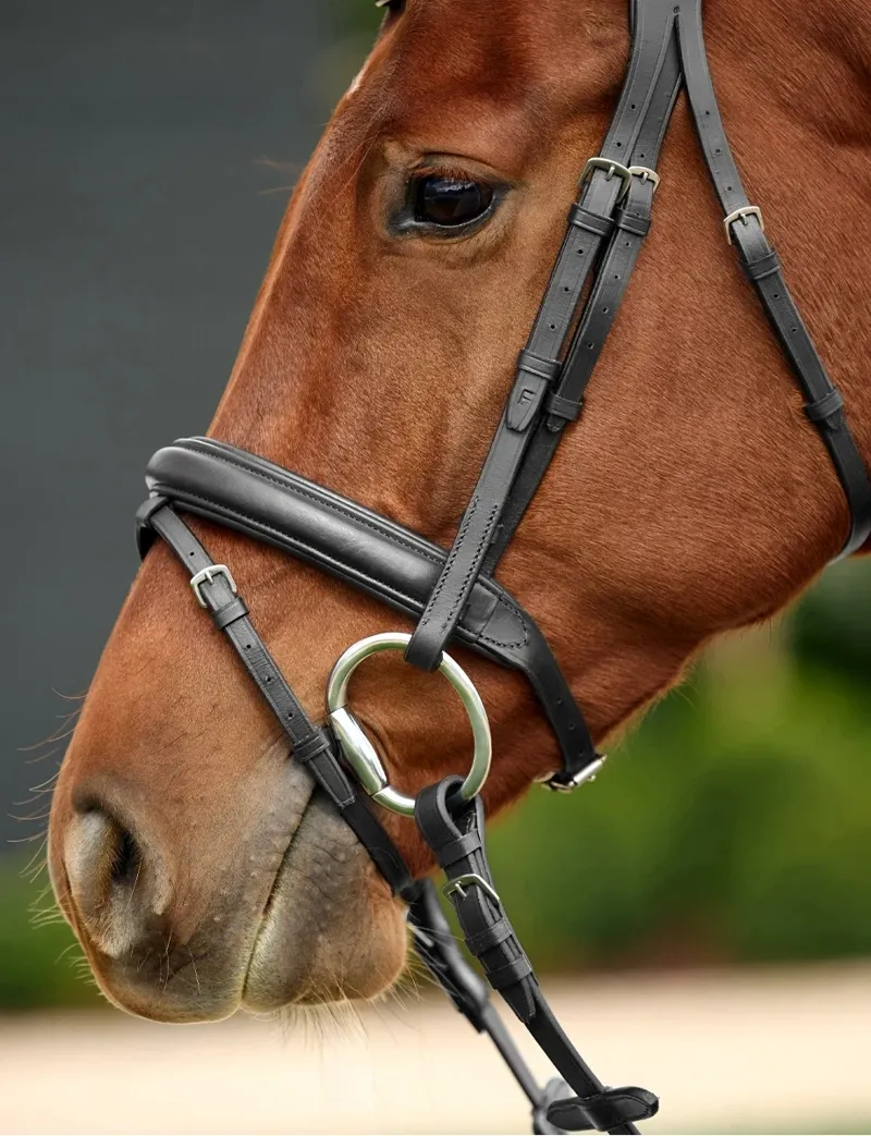 Dublin Padded Mono Crown Flash Bridle - Black-2
