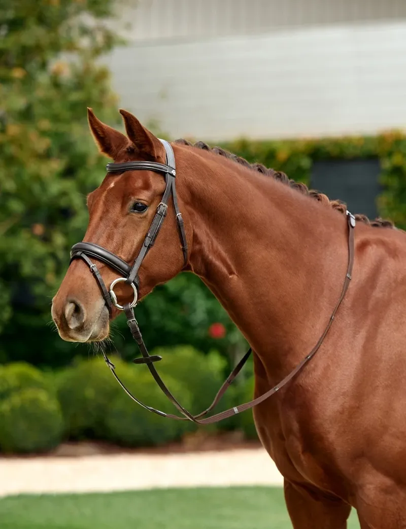 Dublin Padded Mono Crown Flash Bridle - Brown