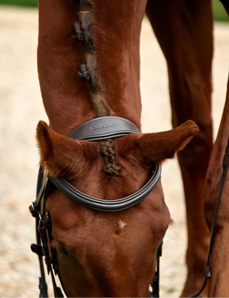 Dublin Padded Mono Crown Flash Bridle - Brown-1