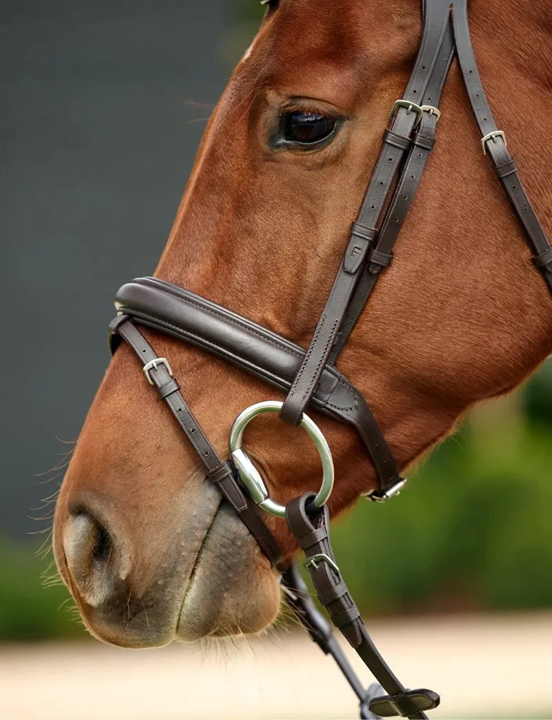 Dublin Padded Mono Crown Flash Bridle - Brown-2