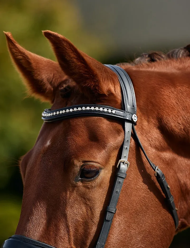 Dublin Padded Comfort Crown Patent Flash Bridle - Black-3
