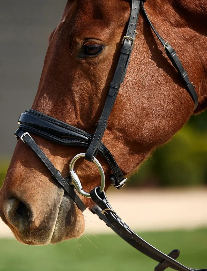 Dublin Padded Comfort Crown Patent Flash Bridle - Black-2