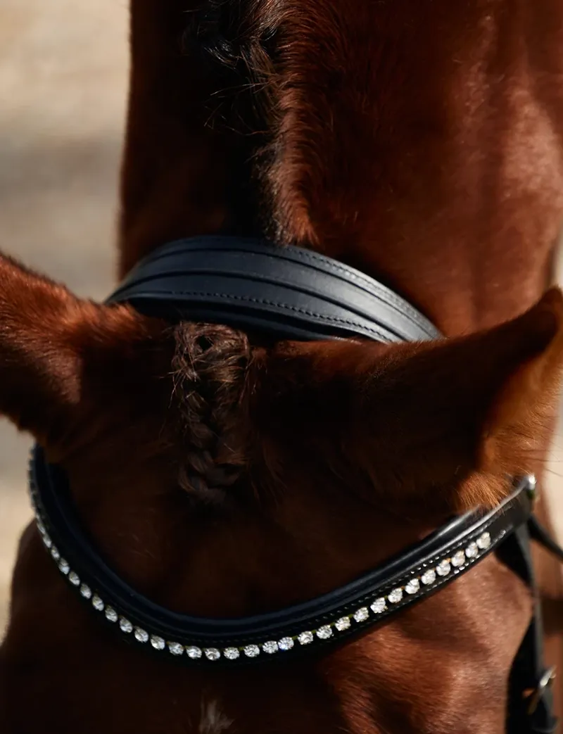 Dublin Padded Comfort Crown Patent Flash Bridle - Black-4