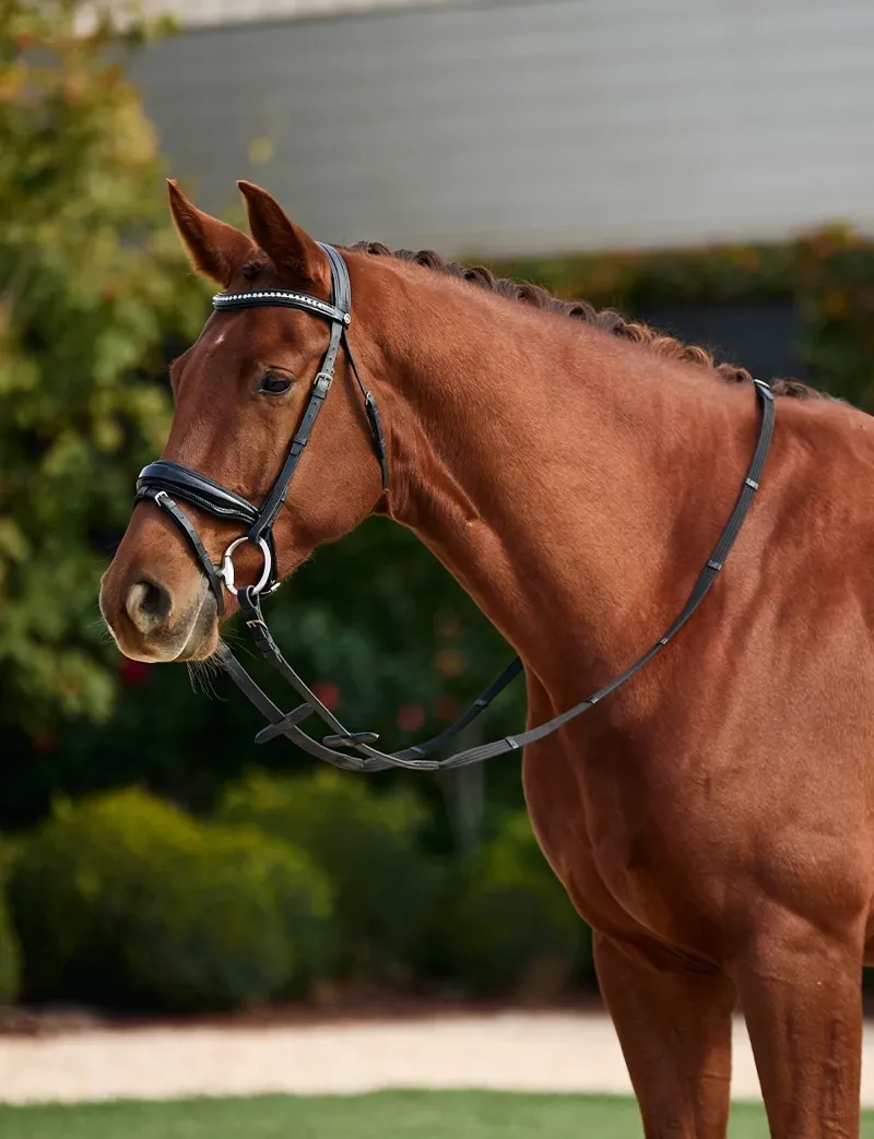 Dublin Padded Comfort Crown Patent Flash Bridle - Black-1