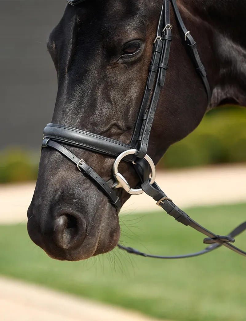 Dublin Padded Comfort Crown Crystal Flash Bridle - Black-4