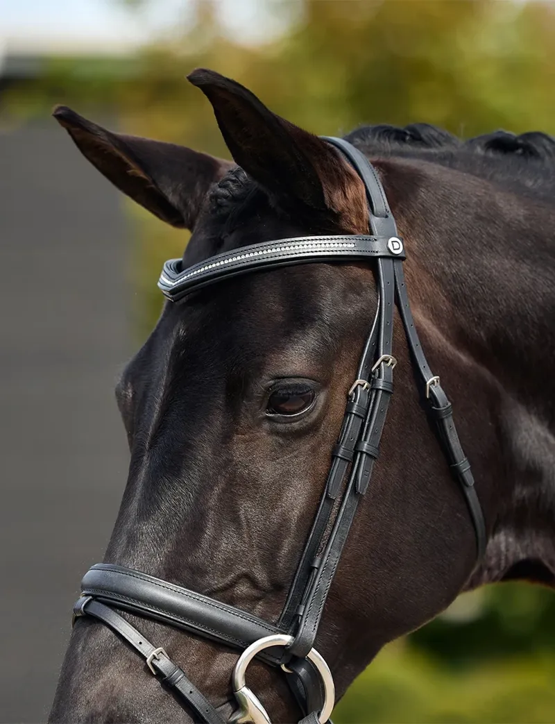 Dublin Padded Comfort Crown Crystal Flash Bridle - Black-2