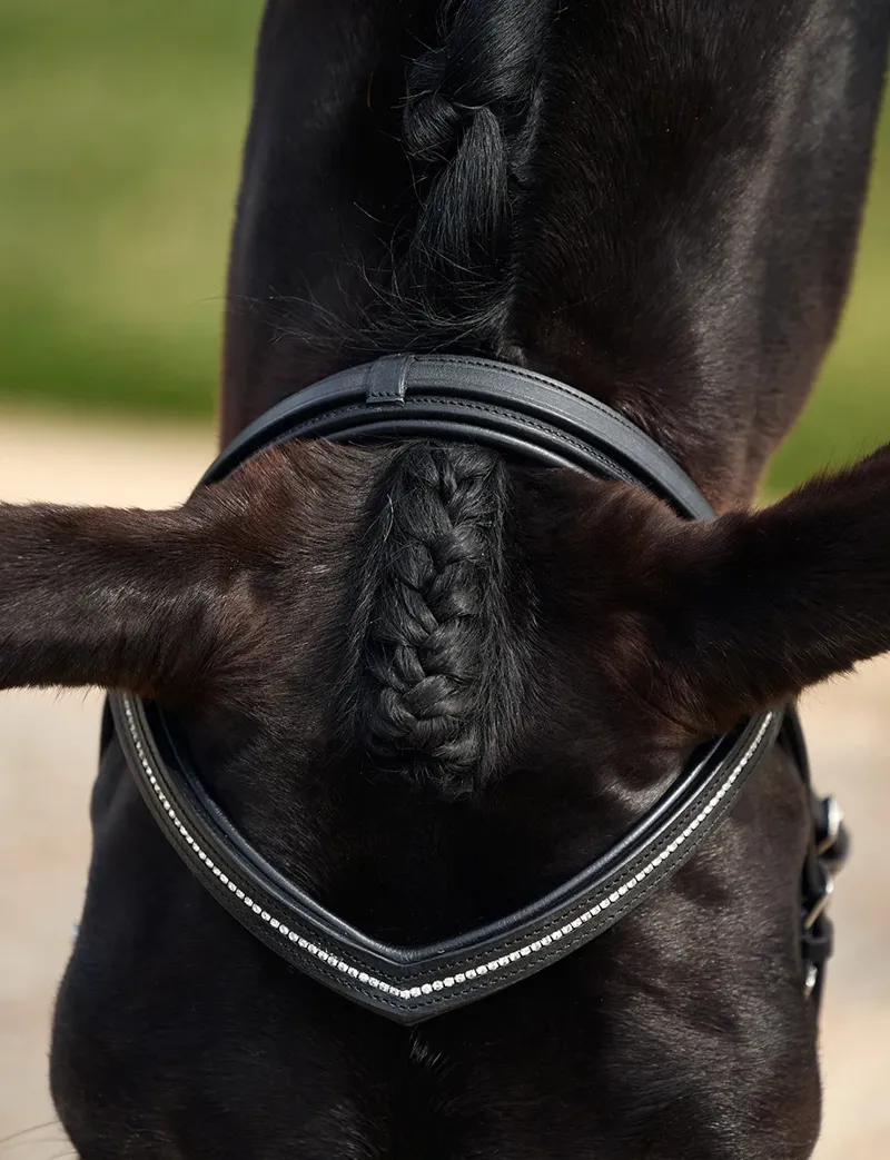 Dublin Padded Comfort Crown Crystal Flash Bridle - Black-3