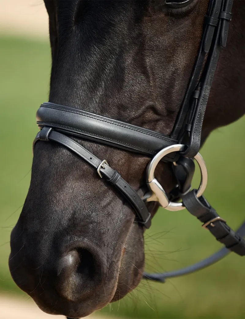 Dublin Padded Comfort Crown Crystal Flash Bridle - Black-5