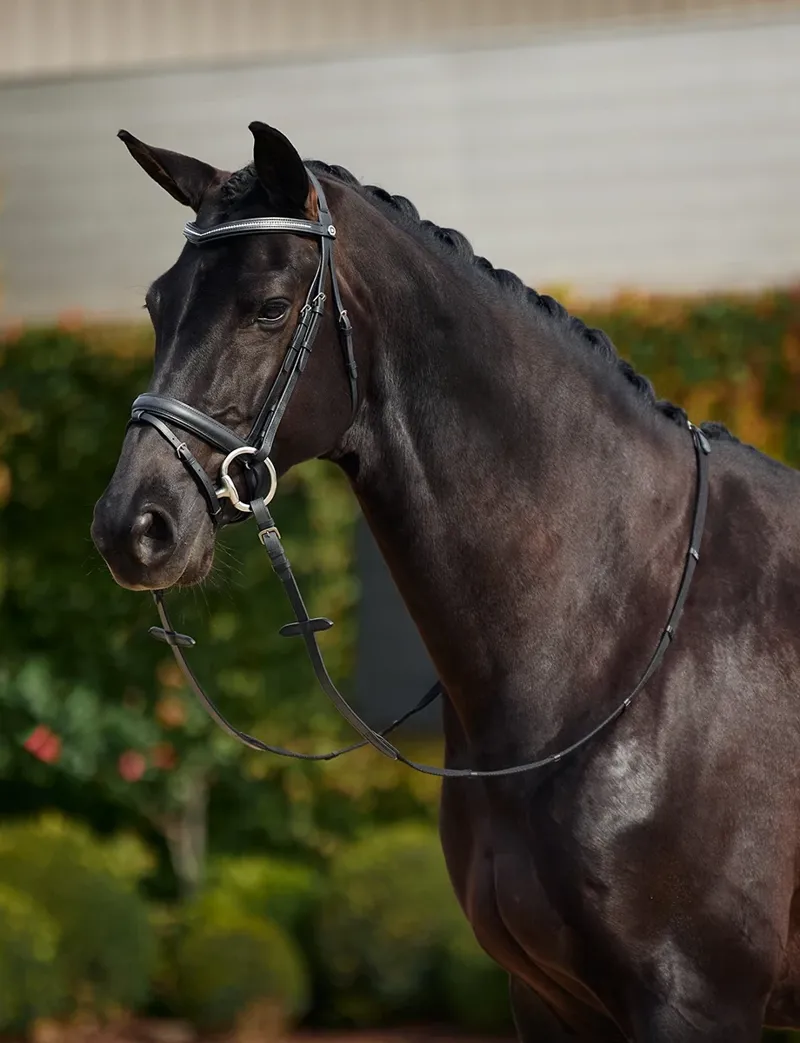 Dublin Padded Comfort Crown Crystal Flash Bridle - Black-1