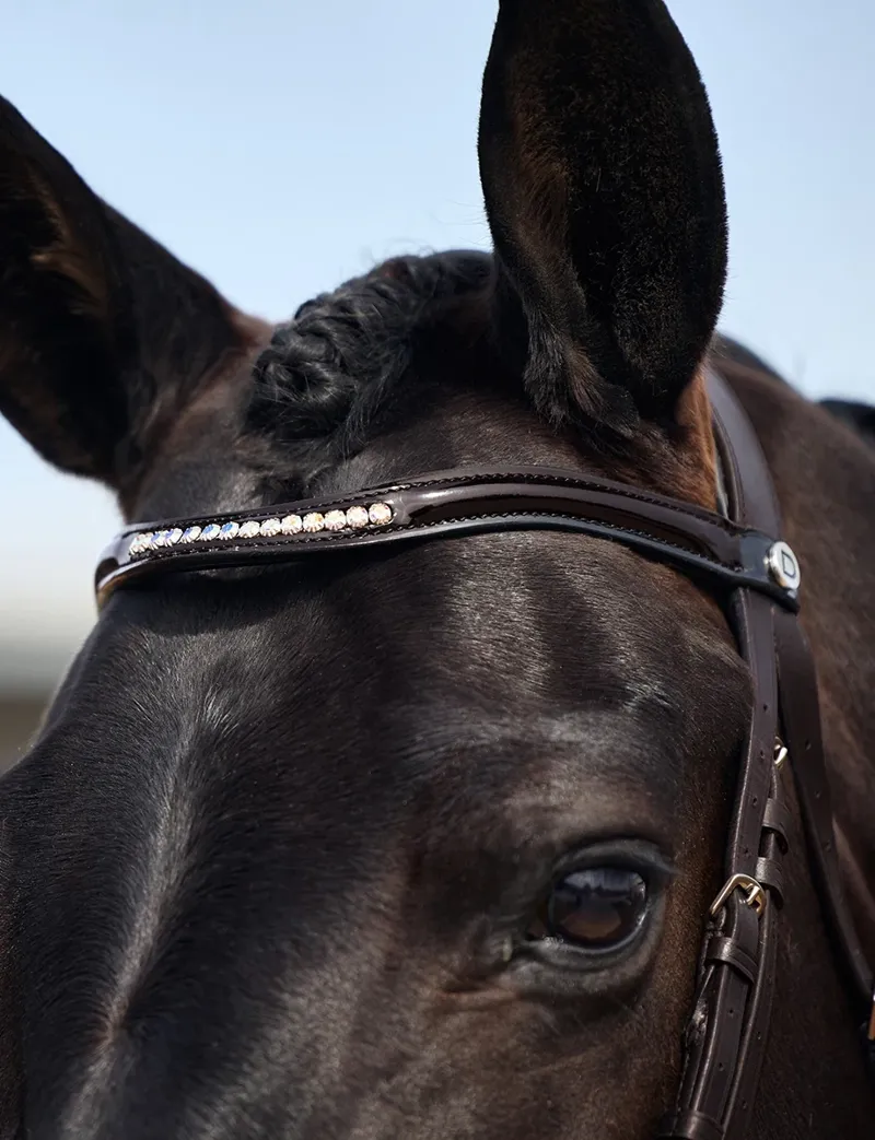 Dublin Padded Mono Crown Patent Flash Bridle - Brown-2