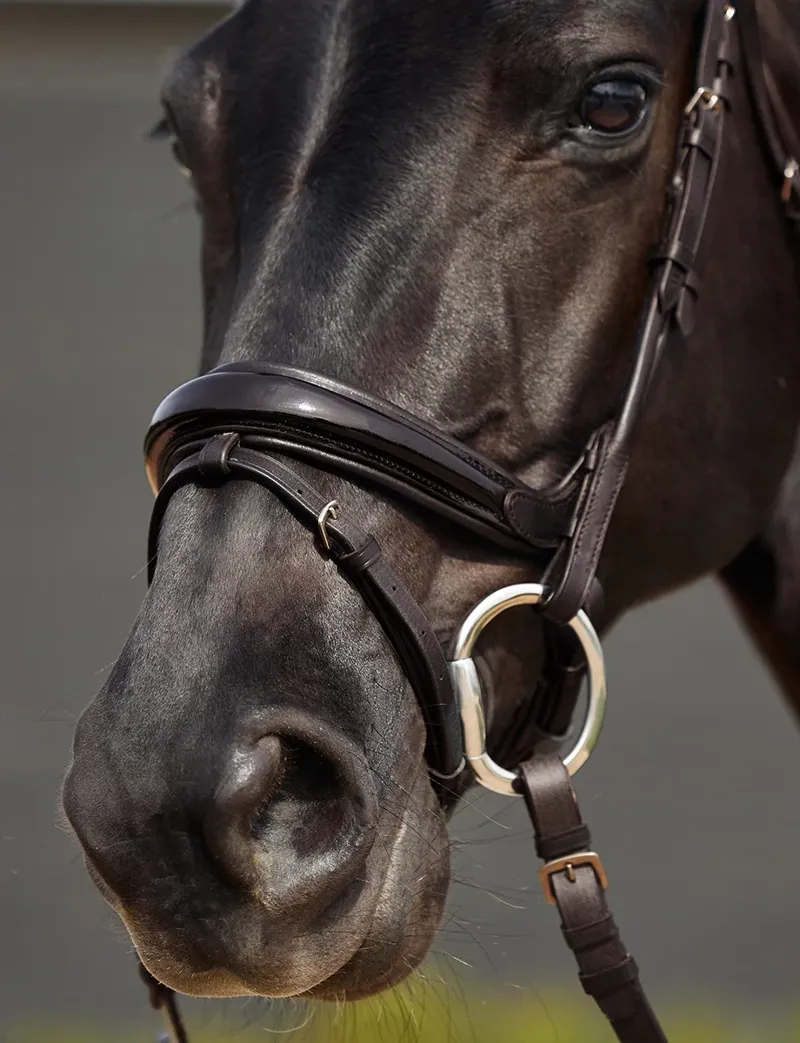 Dublin Padded Mono Crown Patent Flash Bridle - Brown-3