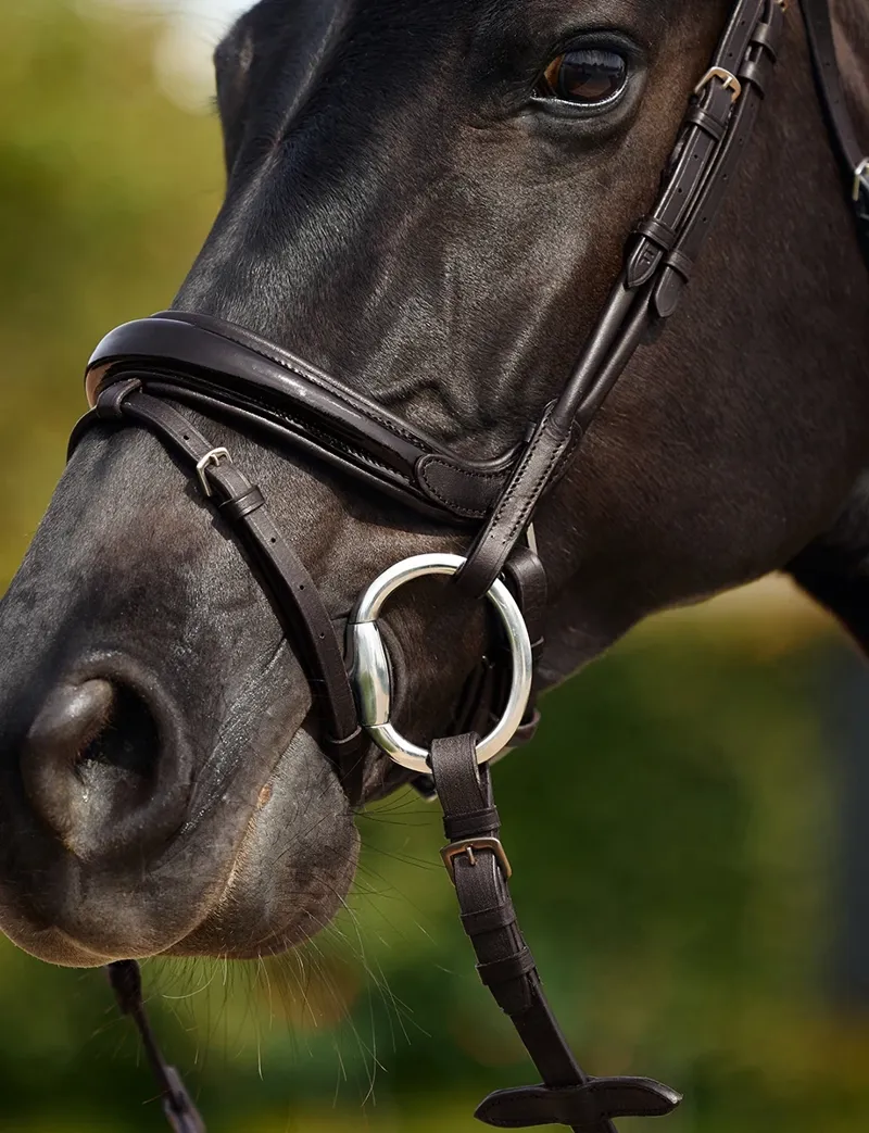 Dublin Padded Mono Crown Patent Flash Bridle - Brown-4