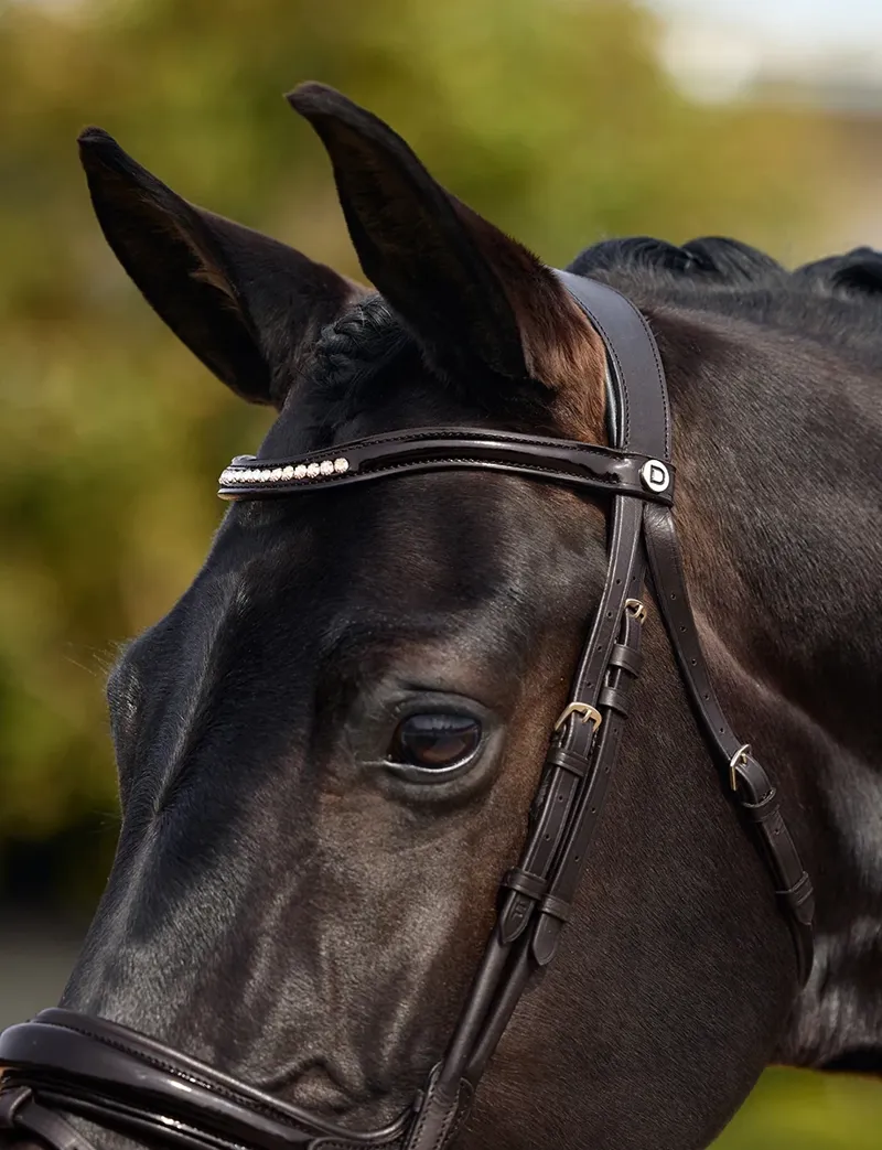 Dublin Padded Mono Crown Patent Flash Bridle - Brown-5