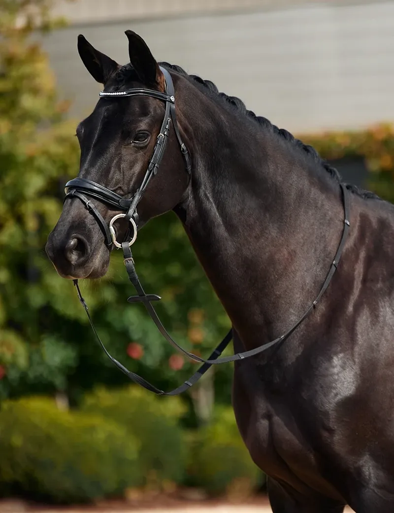 Dublin Padded Mono Crown Patent Flash Bridle - Black-1