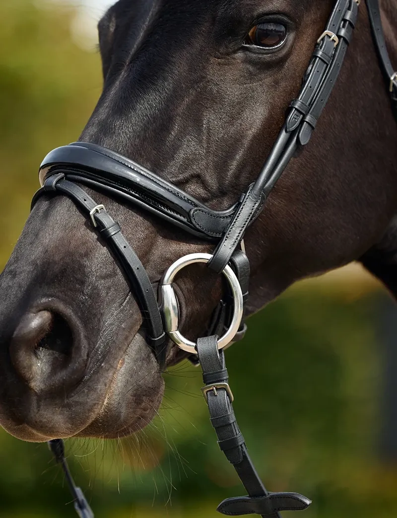 Dublin Padded Mono Crown Patent Flash Bridle - Black-3