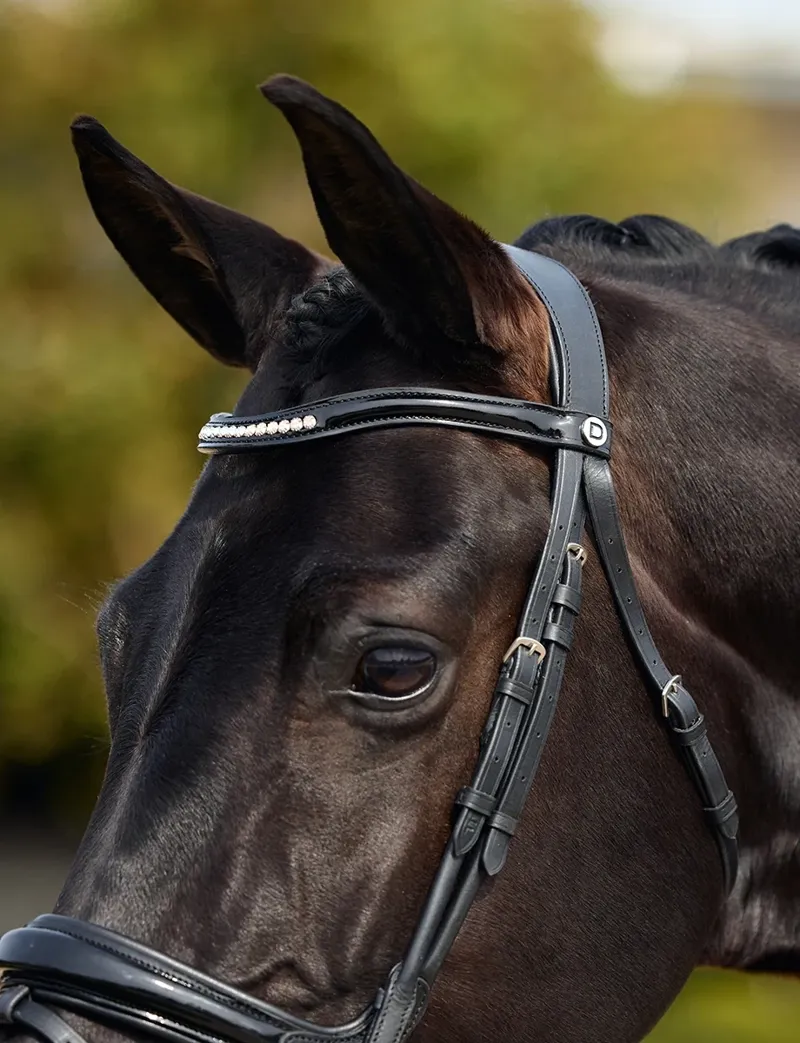 Dublin Padded Mono Crown Patent Flash Bridle - Black-4