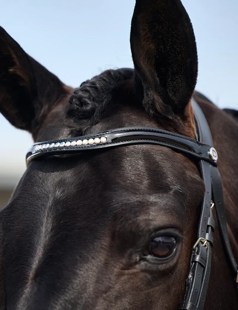 Dublin Padded Mono Crown Patent Flash Bridle - Black-2