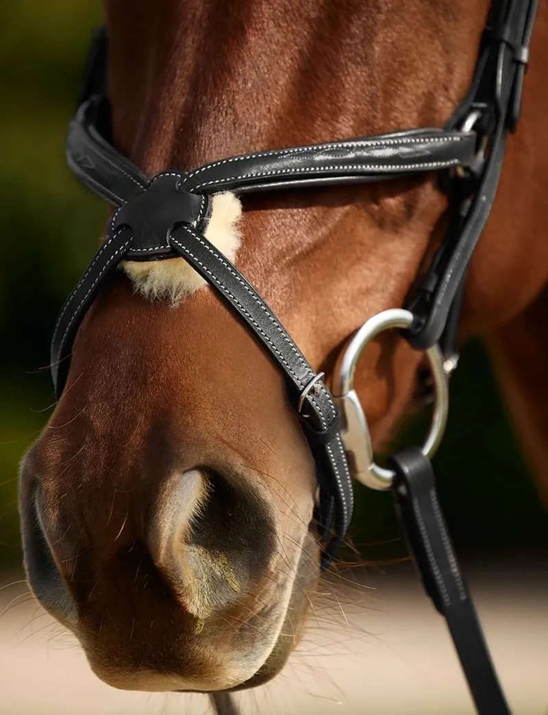 Dublin Padded Mono Crown Fancy Stitch Grackle Bridle - Black-1