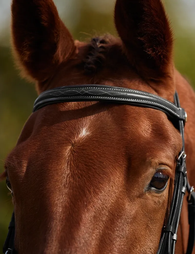 Dublin Padded Mono Crown Fancy Stitch Grackle Bridle - Black-2