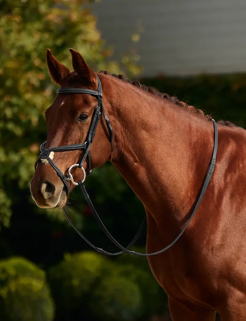 Dublin Padded Mono Crown Fancy Stitch Grackle Bridle - Black