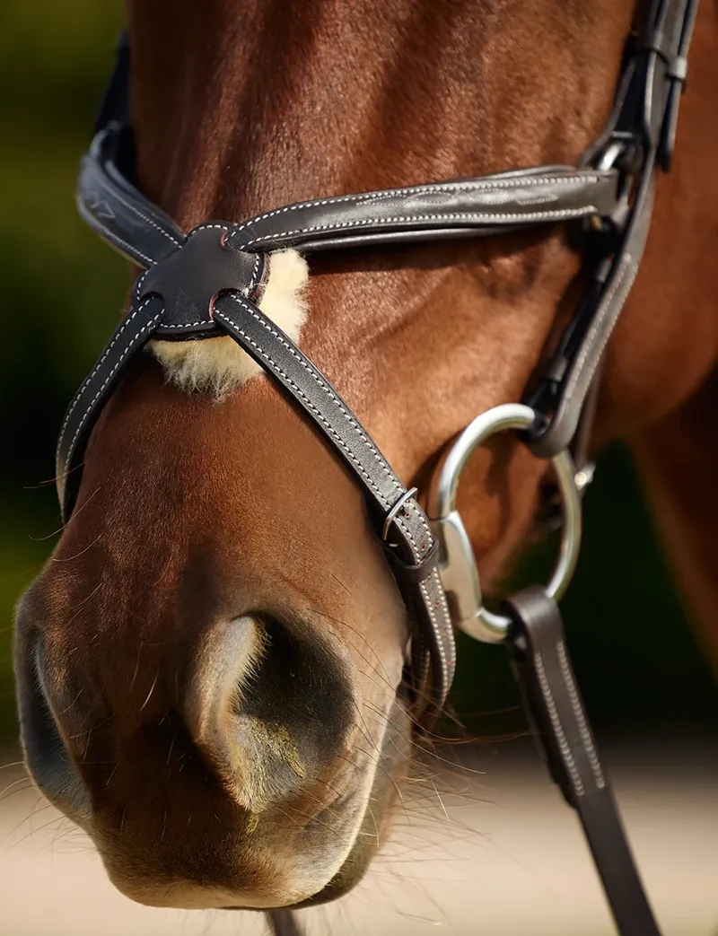 Dublin Padded Mono Crown Fancy Stitch Grackle Bridle - Brown-1