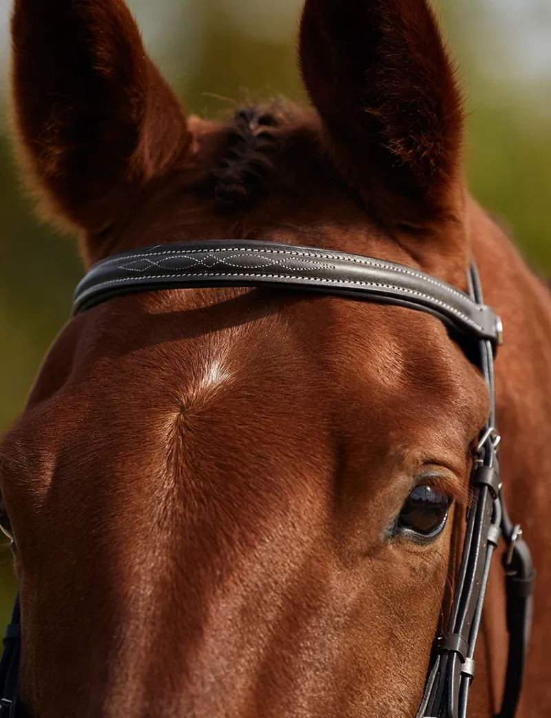 Dublin Padded Mono Crown Fancy Stitch Grackle Bridle - Brown-2