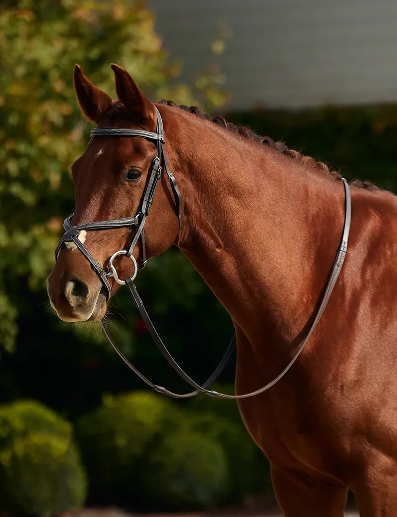 Dublin Padded Mono Crown Fancy Stitch Grackle Bridle - Brown
