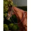 Dublin Padded Mono Crown Fancy Stitch Grackle Bridle - Brown