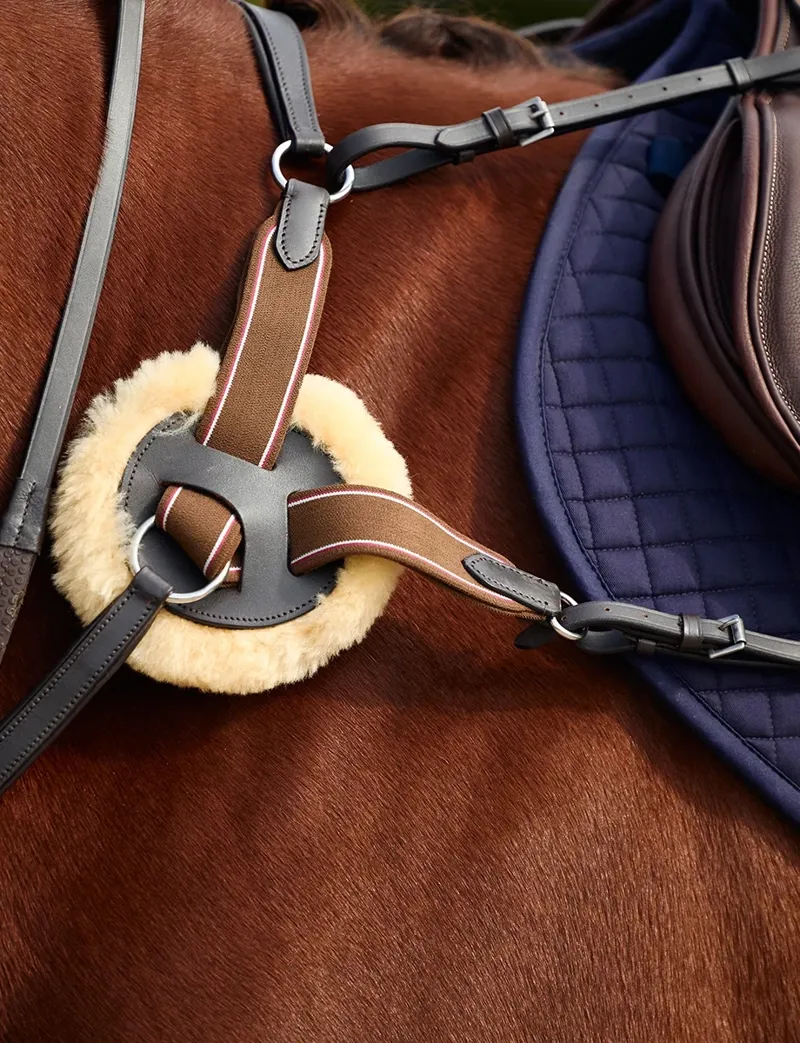 Dublin 5-Point Event Breastplate - Brown-1