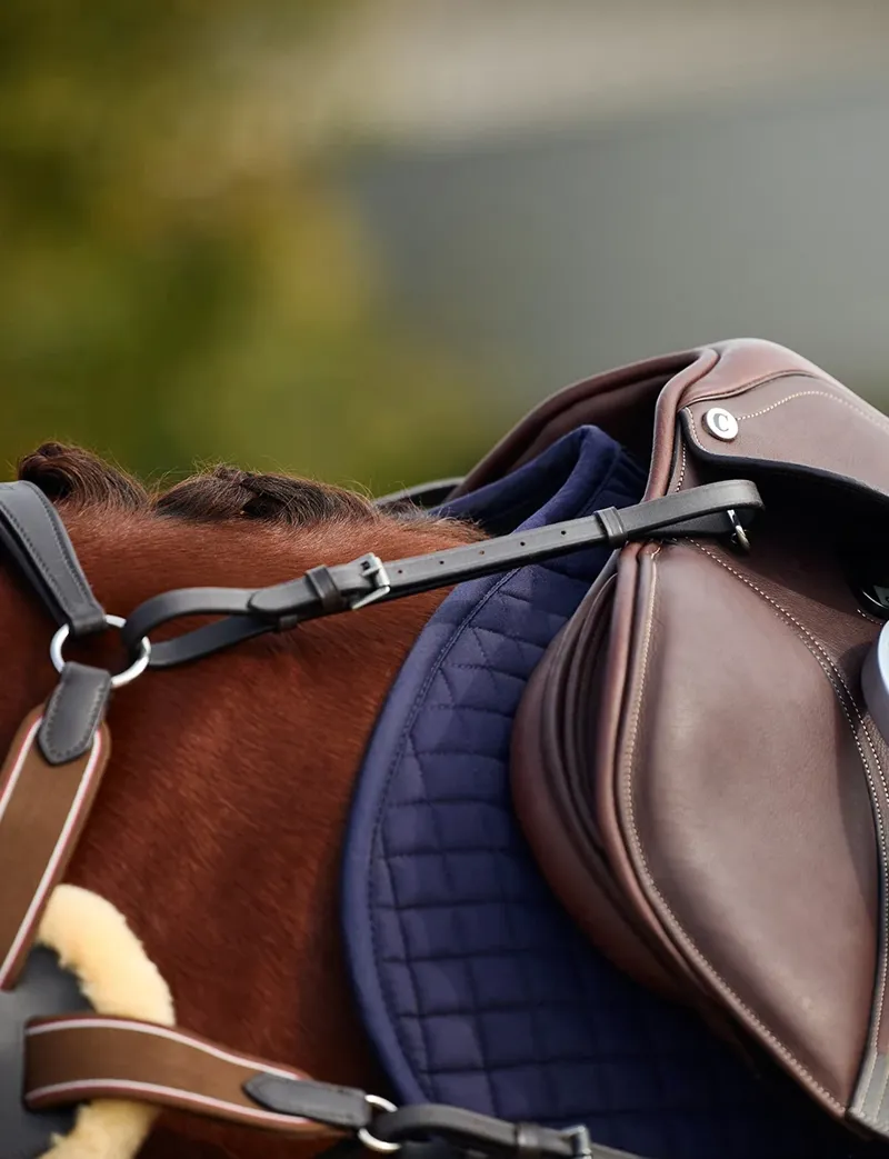 Dublin 5-Point Event Breastplate - Brown-2