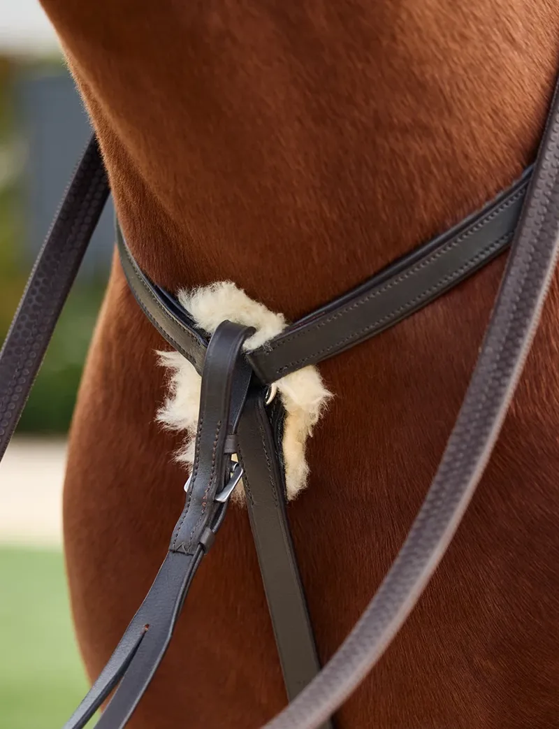 Dublin 5-Point Event Breastplate - Brown-5