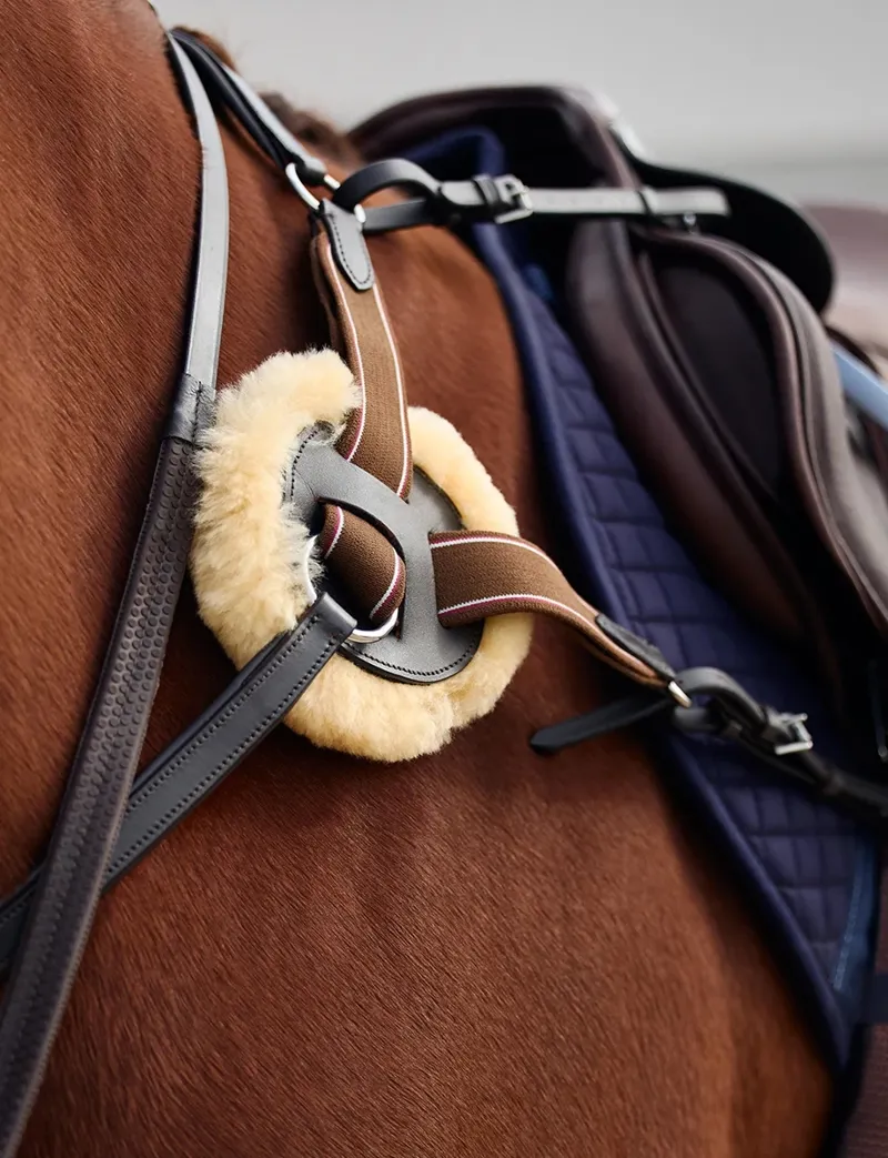 Dublin 5-Point Event Breastplate - Brown-6