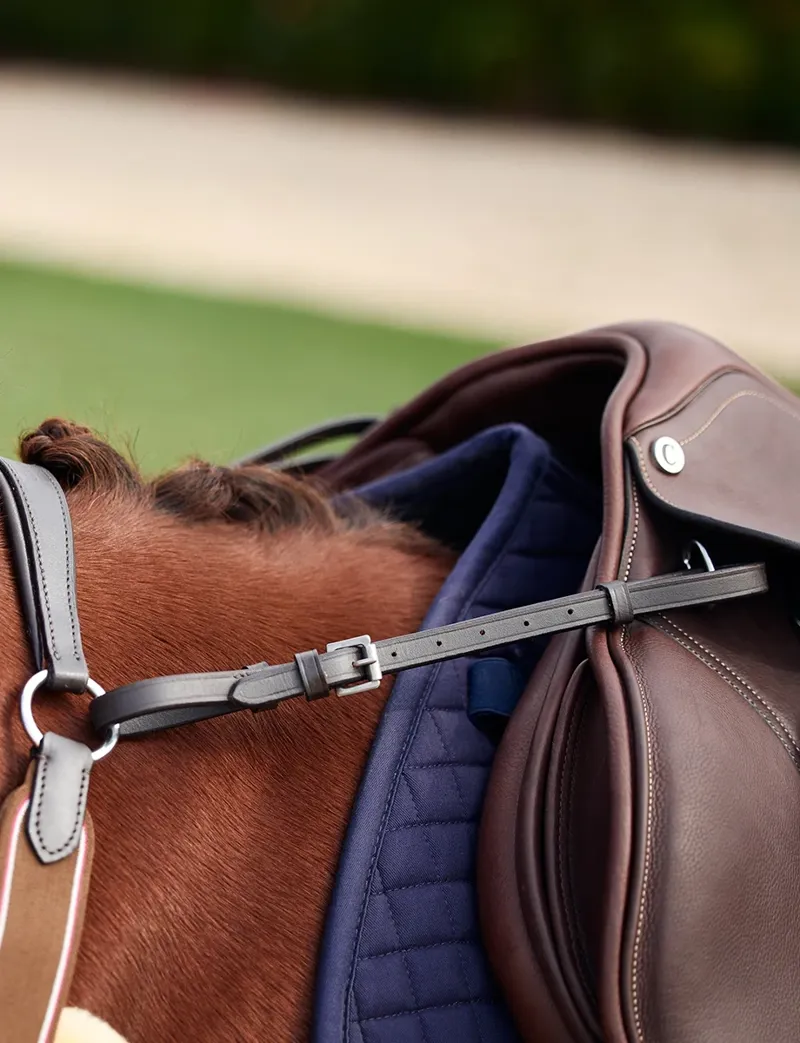 Dublin 5-Point Event Breastplate - Brown-8