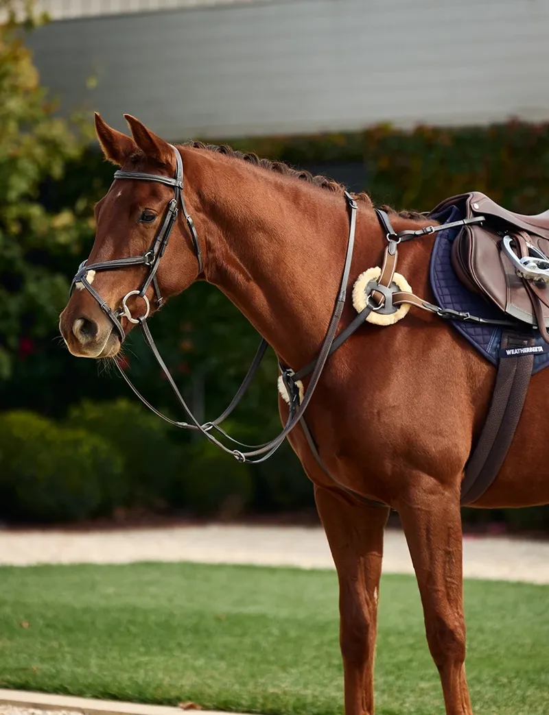 Dublin 5-Point Event Breastplate - Brown