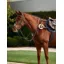 Dublin 5-Point Event Breastplate - Brown