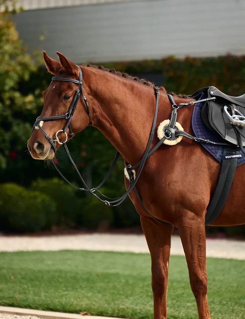 Dublin 5-Point Event Breastplate - Black
