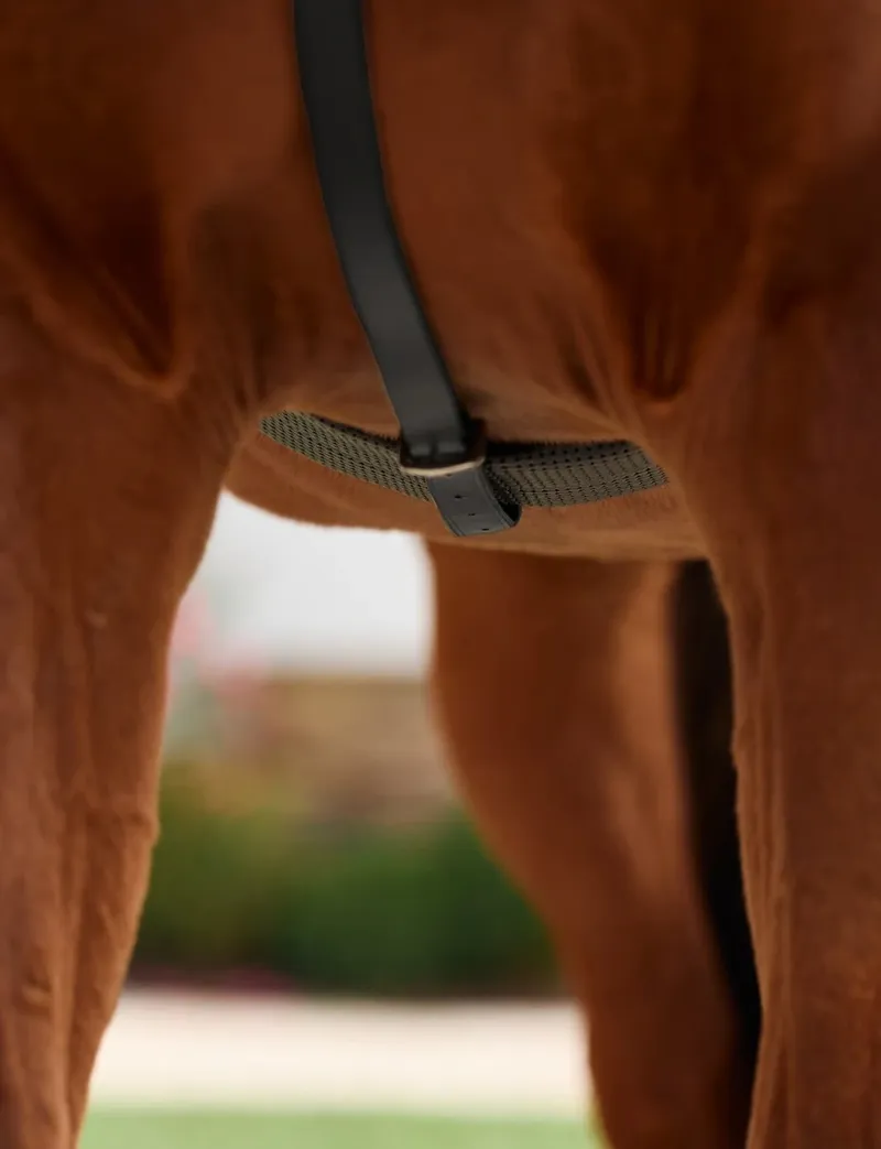 Dublin 5-Point Event Breastplate - Black-4