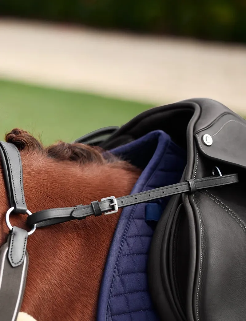 Dublin 5-Point Event Breastplate - Black-3