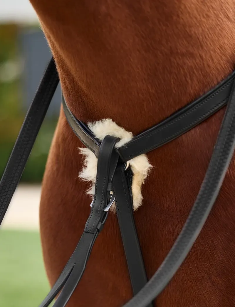 Dublin 5-Point Event Breastplate - Black-2