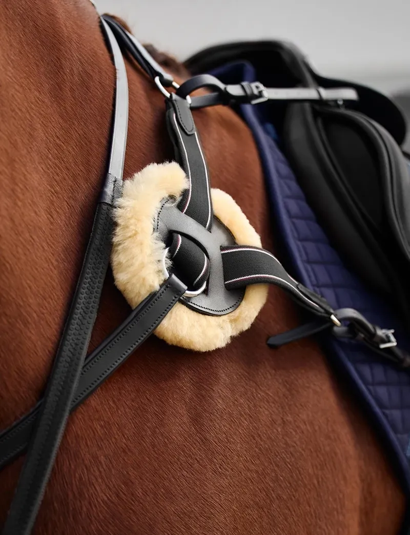 Dublin 5-Point Event Breastplate - Black-1