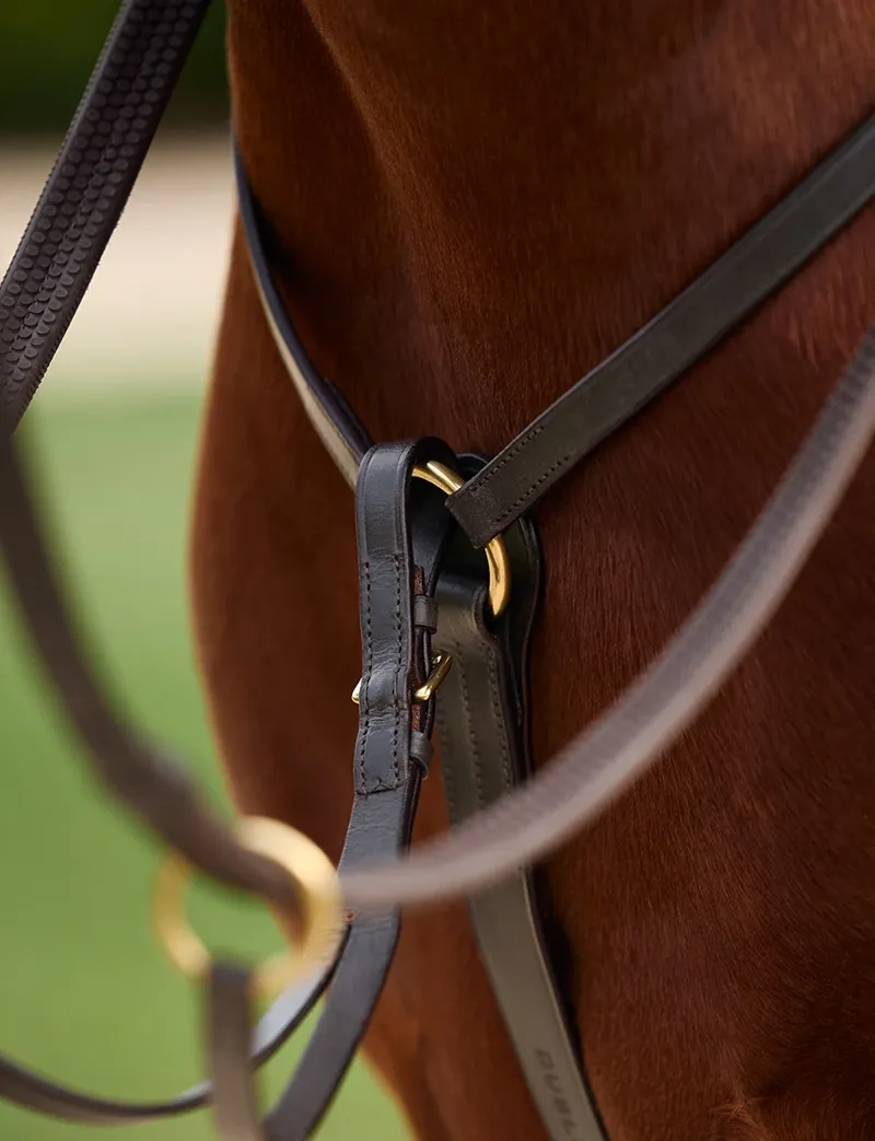 Dublin 3-Point Breastplate - Brown-3
