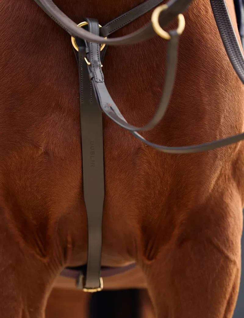 Dublin 3-Point Breastplate - Brown-4