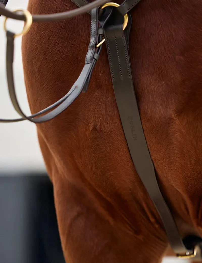 Dublin 3-Point Breastplate - Brown-6