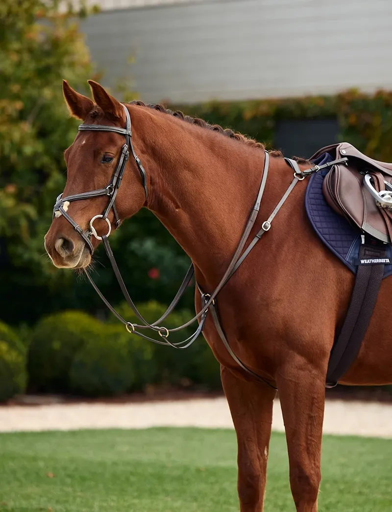 Dublin 3-Point Breastplate - Brown