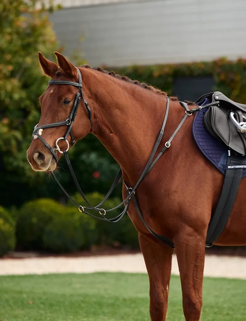 Dublin 3-Point Breastplate - Black